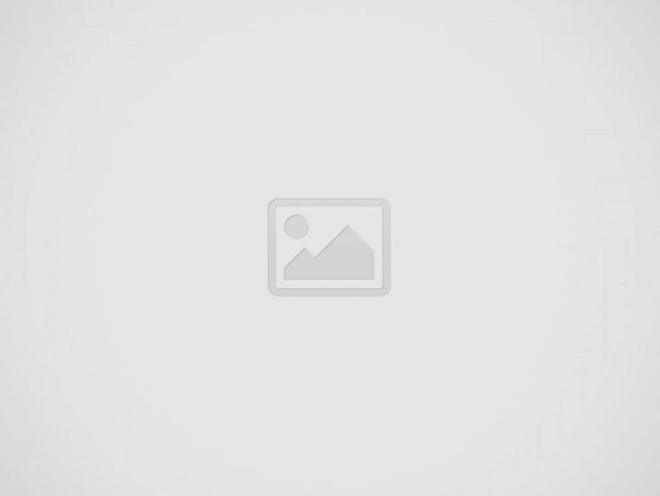 At-Home Pet Health Trend Taking Over TikTok