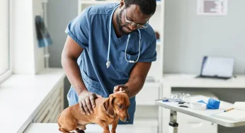 Symptom One Health in Pets That Even Clinics Often Miss