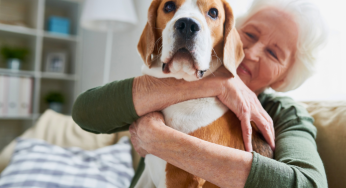 Seniors Are Loving In-Home Pet Care Solutions