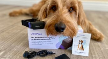 Experts Shocked by New Pet Collar That Monitors Health 24/7
