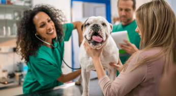 Vets Are Ditching Clinics for This At-Home Trend