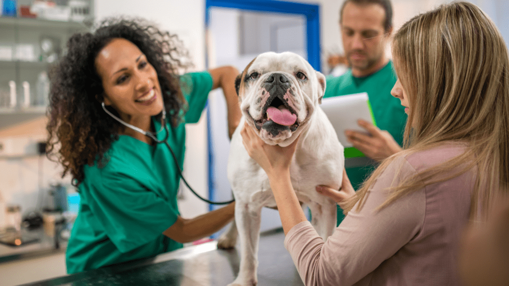 Vets Are Ditching Clinics for This At-Home Trend