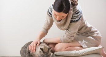 Cat Owners Are Obsessed with This At-Home Vet Trend
