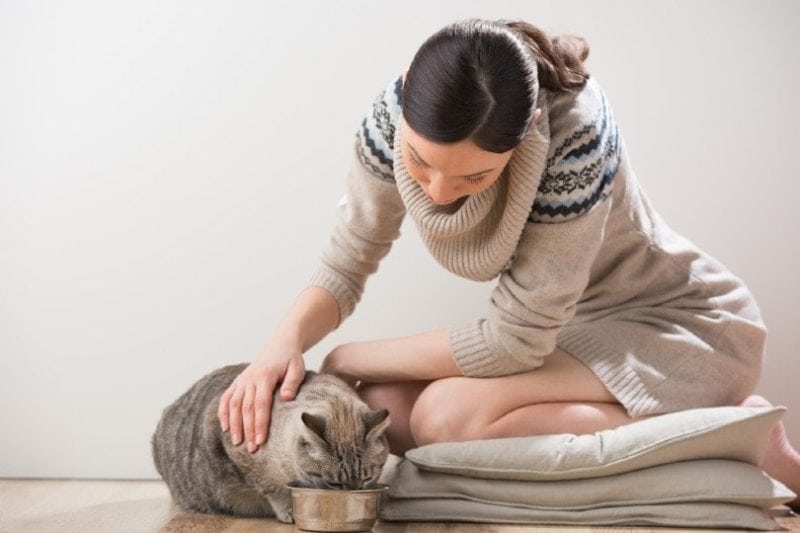 Cat Owners Are Obsessed with This At-Home Vet Trend