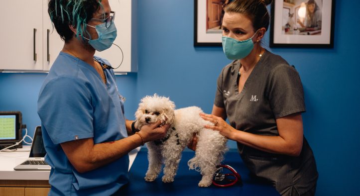 Millennials Are Ditching Vet Clinics for This New Routine