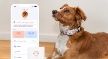 Pet Wellness Tracker Can Spot Illness