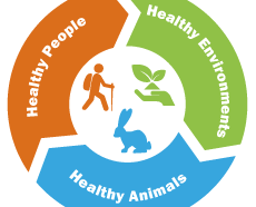 One Health Symptom in Pets Even Clinics