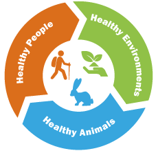 One Health Symptom in Pets Even Clinics