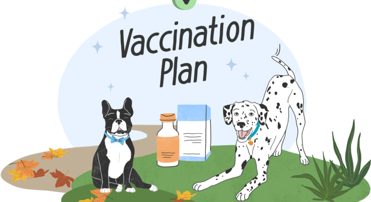 Surprising Truth About Home Pet Vaccinations