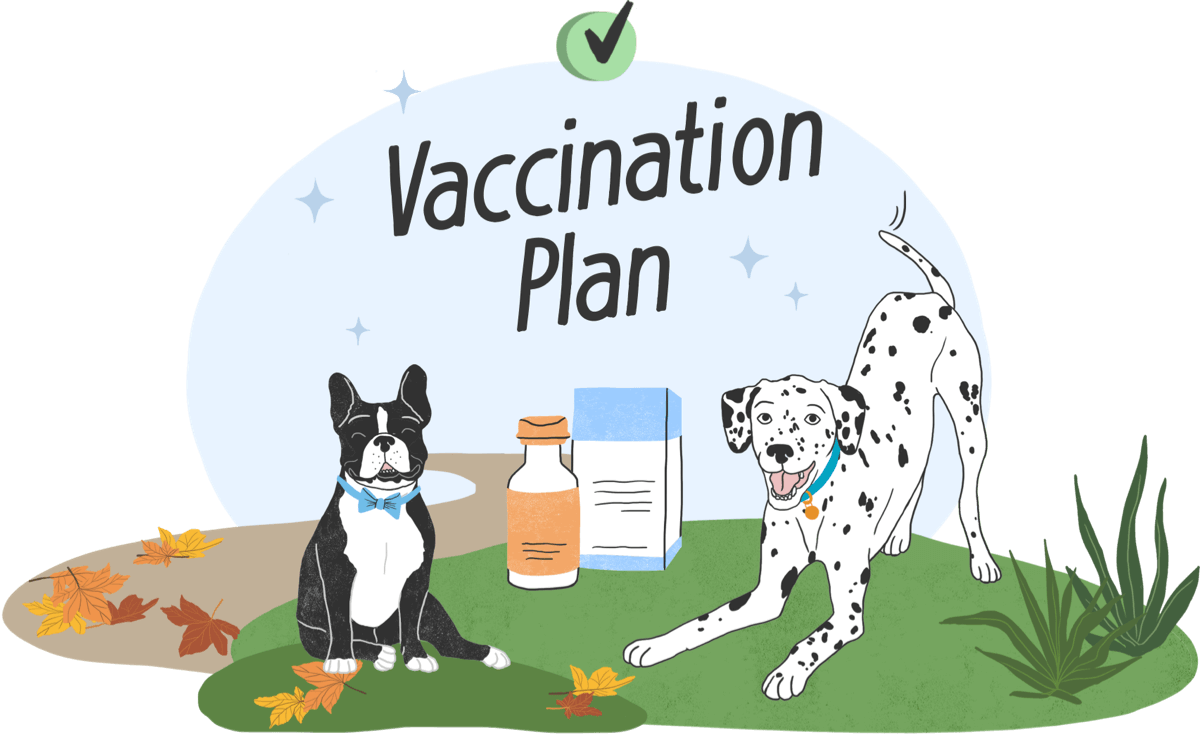Surprising Truth About Home Pet Vaccinations