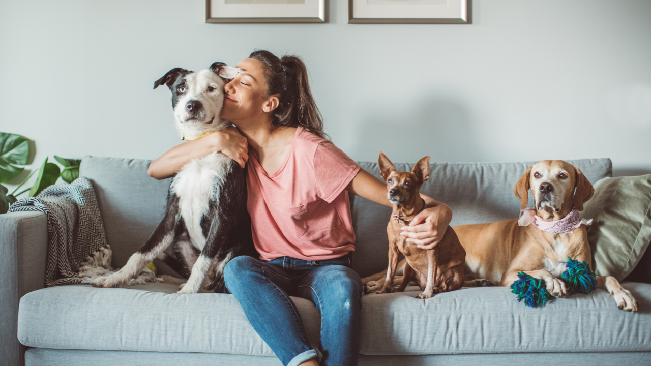Why Home-Based Pet Care Is Changing How We Look After Our Pets