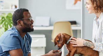 The In-Home Pet Care Service Pet Owners Are Raving About