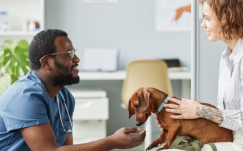 The In-Home Pet Care Service Pet Owners Are Raving About