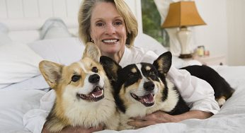Why Pets ownership Longer With Home-Based