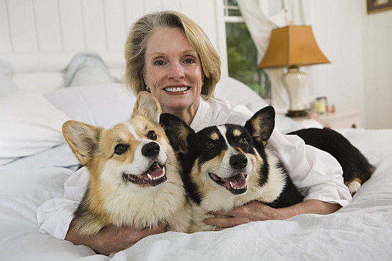 Why Pets ownership Longer With Home-Based