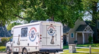 Is Mobile Pet Care the Next Big Thing in Smart Homes?