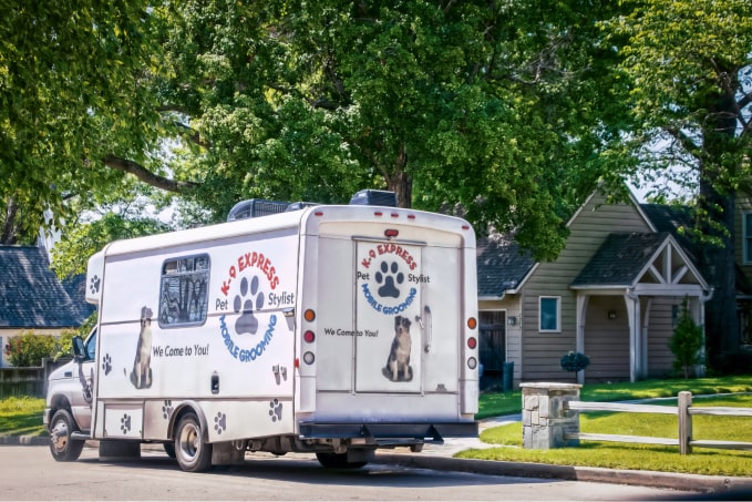 Is Mobile Pet Care the Next Big Thing in Smart Homes?