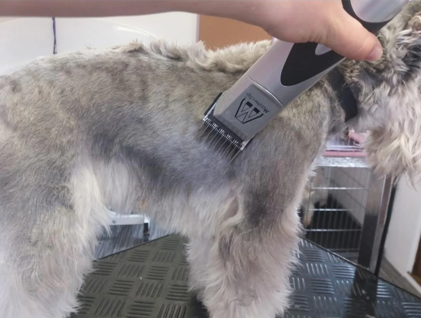 Safe & Gentle Clippers for Nervous Pets