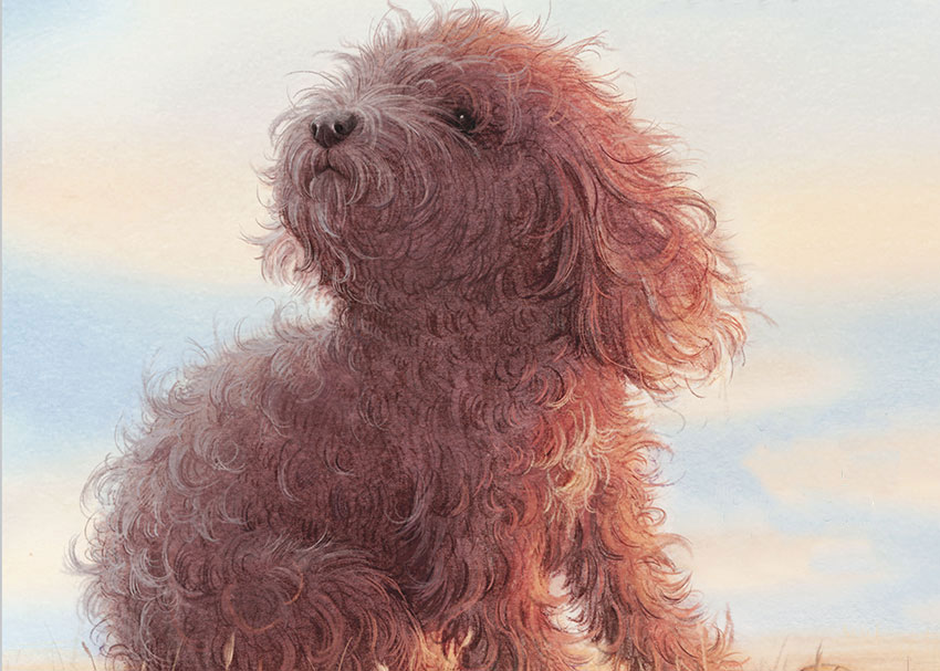 Fables, Morals, and Pets in Childhood Literature