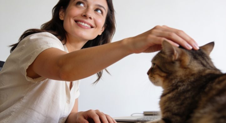 Integrating a Home Cat Care Routine for Longevity
