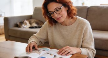 The Science of Feline Wellness: Translating Research into Daily Home Cat Care